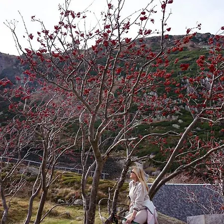 Nina Διαμέρισμα *