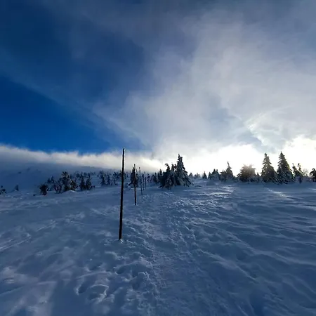 Daire Nina Jelenia Gora