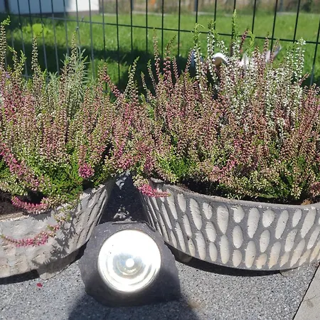 Nina Daire Jelenia Gora