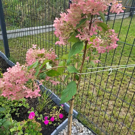 Διαμέρισμα Nina