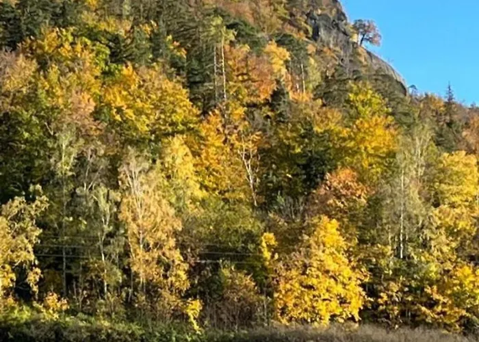 Apartmán Nina Jelení Hora